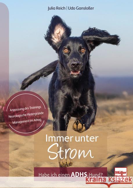 Immer unter Strom Gansloßer, Udo, Reich, Julia 9783275023585 Müller Rüschlikon - książka