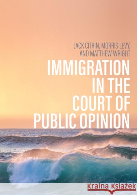 Immigration in the Court of Public Opinion Citrin 9781509550685 Polity Press - książka