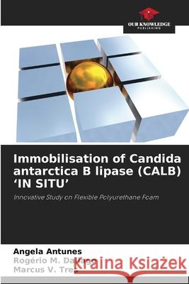 Immobilisation of Candida antarctica B lipase (CALB) 'IN SITU' Antunes, Angela, Dallago, Rogério M., Tres, Marcus V. 9786209329715 Our Knowledge Publishing - książka