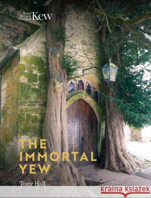 Immortal Yew, The Tony Hall 9781842466582 Royal Botanic Gardens - książka
