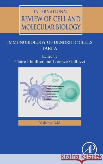 Immunobiology of Dendritic Cells Part a: Volume 348 Galluzzi, Lorenzo 9780128183519 Academic Press - książka