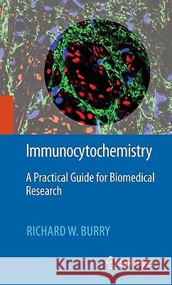 Immunocytochemistry: A Practical Guide for Biomedical Research Burry, Richard W. 9781441913036 Springer - książka