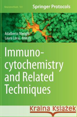 Immunocytochemistry and Related Techniques Adalberto Merighi Laura Lossi 9781493923120 Humana Press - książka