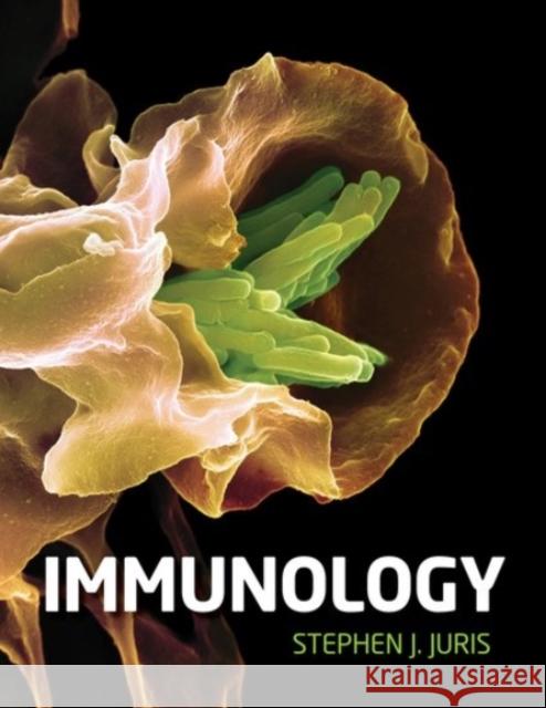 Immunology Stephen Juris 9780190200312 Oxford University Press, USA - książka