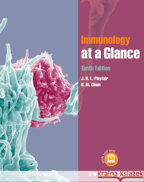 Immunology at a Glance. J.H.L. Playfair, B.M. Chain Playfair, J. H. L. 9780470673034 Wiley-Blackwell (an imprint of John Wiley & S - książka