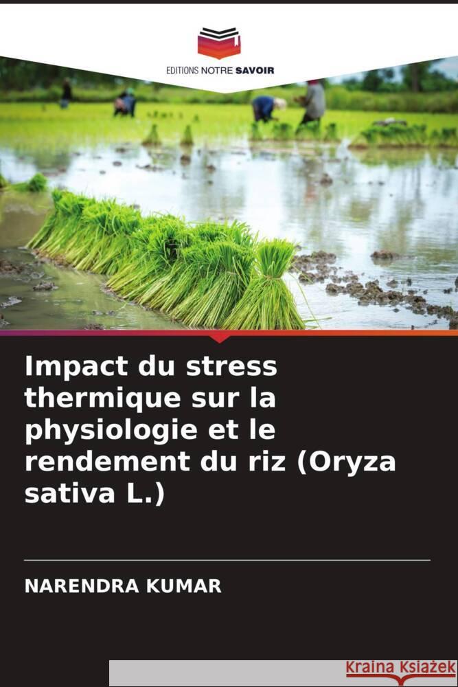 Impact du stress thermique sur la physiologie et le rendement du riz (Oryza sativa L.) Kumar, Narendra 9786205181584 Editions Notre Savoir - książka