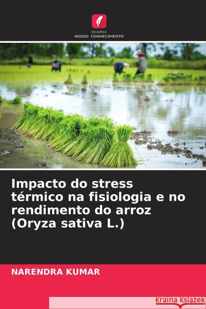 Impacto do stress térmico na fisiologia e no rendimento do arroz (Oryza sativa L.) Kumar, Narendra 9786205181461 Edições Nosso Conhecimento - książka