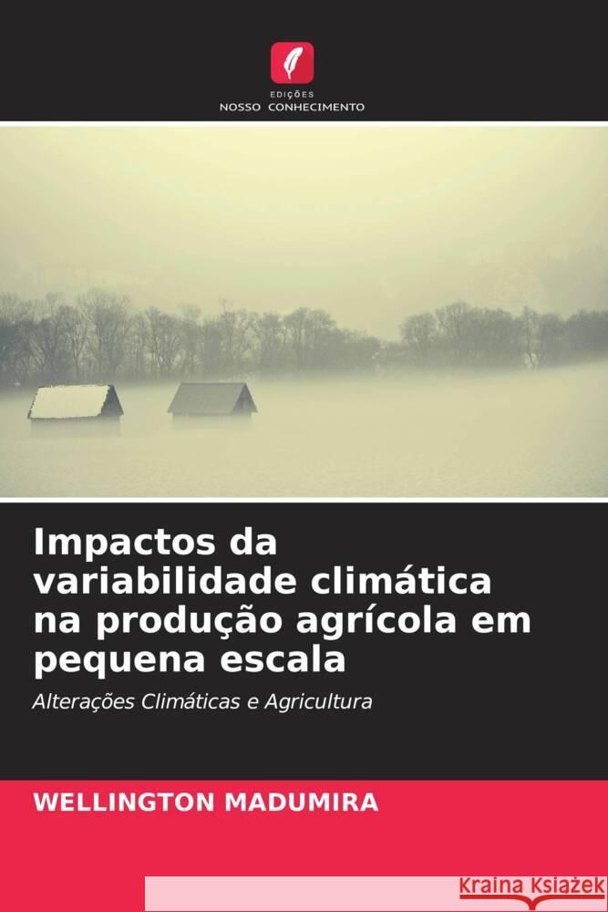 Impactos da variabilidade climática na produção agrícola em pequena escala Wellington Madumira 9786205372760 Edicoes Nosso Conhecimento - książka