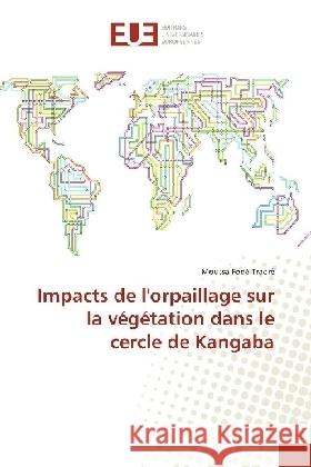 Impacts de l'orpaillage sur la végétation dans le cercle de Kangaba Traoré, Moussa Fodé 9783330869851 Éditions universitaires européennes - książka