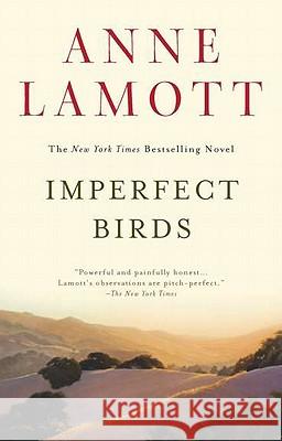 Imperfect Birds Anne Lamott 9781594485046 Riverhead Books - książka