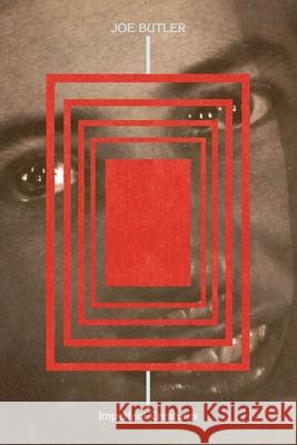 Imperfect Creatures Joe Butler 9781738360925 Diachroneity Books - książka