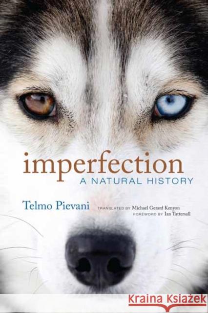 Imperfection: A Natural History Telmo Pievani Michael Gerard Kenyon Ian Tattersall 9780262047418 MIT Press Ltd - książka