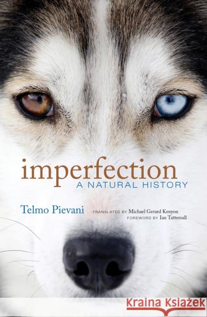 Imperfection: A Natural History Michael Gerard Kenyon 9780262548359 MIT Press Ltd - książka