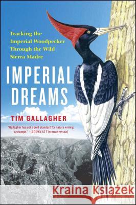 Imperial Dreams: Tracking the Imperial Woodpecker Through the Wild Tim Gallagher 9781476734385 Atria Books - książka