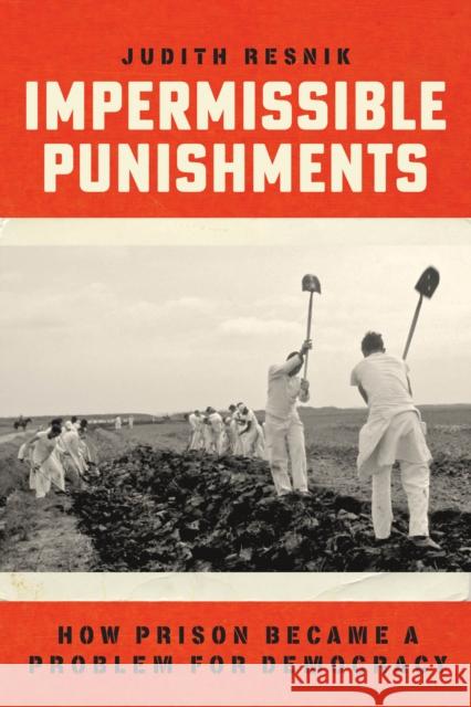 Impermissible Punishments: How Prison Became a Problem for Democracy Judith Resnik 9780226754741 University of Chicago Press - książka