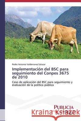 Implementación del BSC para seguimiento del Conpes 3675 de 2010 Valderrama Salazar, Pedro Antonio 9783639557800 Publicia - książka