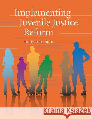 Implementing Juvenile Justice Reform: The Federal Role Committee on a Prioritized Plan to Imple Committee on Law and Justice             Division of Behavioral and Social Scie 9780309303477 National Academies Press - książka