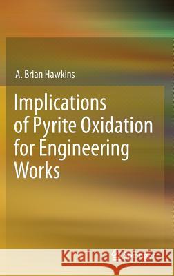Implications of Pyrite Oxidation for Engineering Works A. Brian Hawkins 9783319002200 Springer - książka