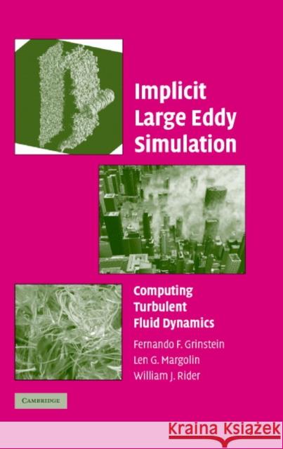Implicit Large Eddy Simulation: Computing Turbulent Fluid Dynamics Grinstein, Fernando F. 9780521869829 Cambridge University Press - książka