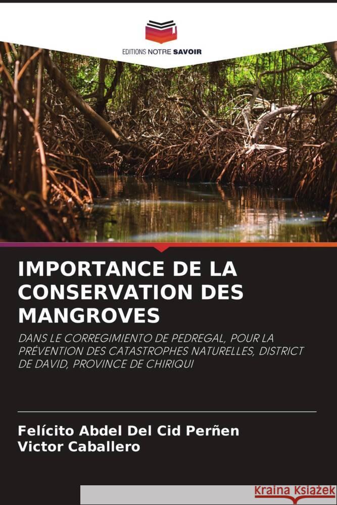 Importance de la Conservation Des Mangroves Fel?cito Abdel de Victor Caballero 9786206883708 Editions Notre Savoir - książka