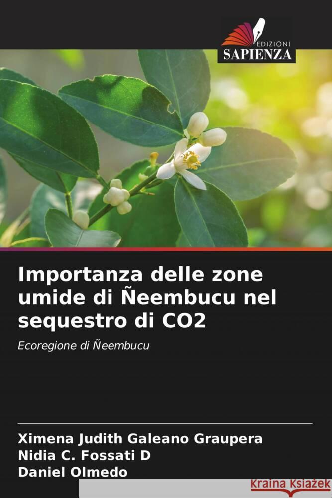 Importanza delle zone umide di Ñeembucu nel sequestro di CO2 Galeano Graupera, Ximena Judith, Fossati D, Nidia C., Olmedo, Daniel 9786206455219 Edizioni Sapienza - książka