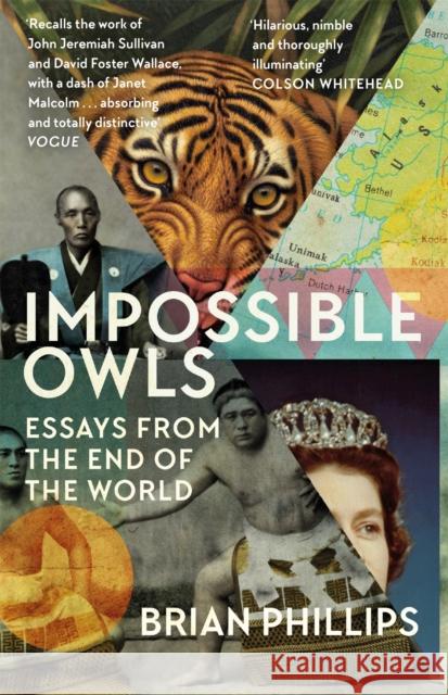 Impossible Owls Brian Phillips 9781474607841 Orion Publishing Co - książka