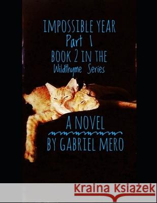 Impossible Year: Part 1: Book Two in the Wildthyme Series Gabriel Mero 9781089426448 Independently Published - książka
