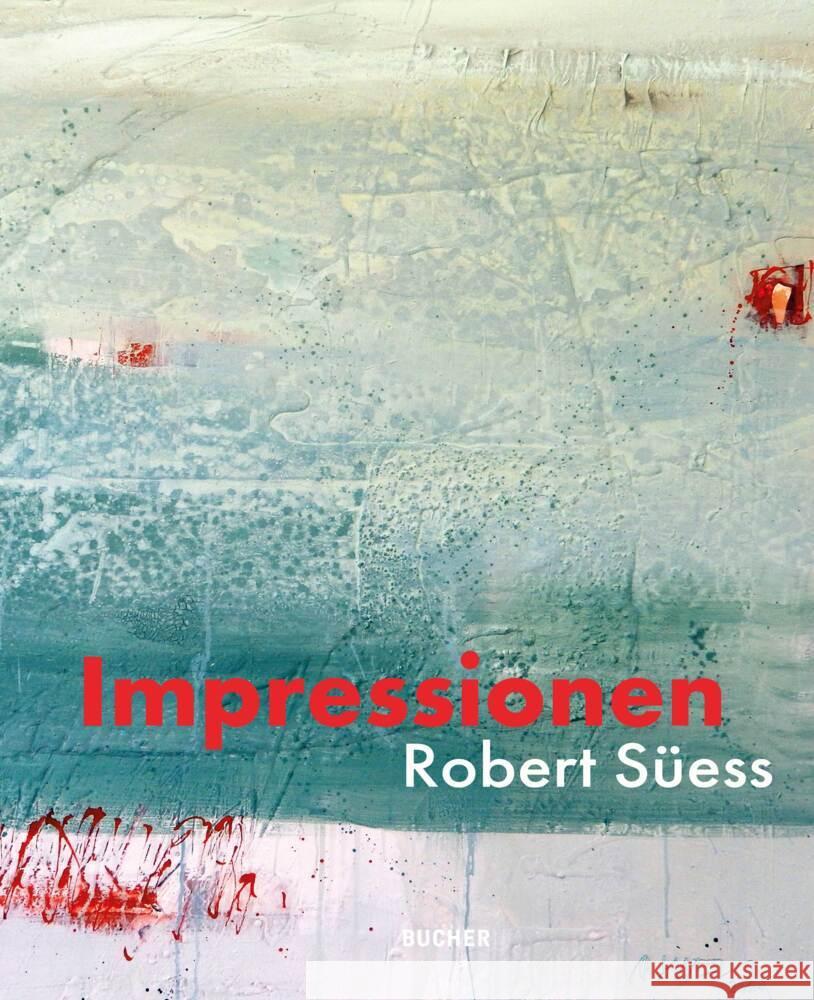 Impressionen Süess, Robert 9783990186107 Bucher, Hohenems - książka