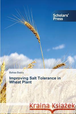 Improving Salt Tolerance in Wheat Plant Badry Bahaa 9783639705614 Scholars' Press - książka