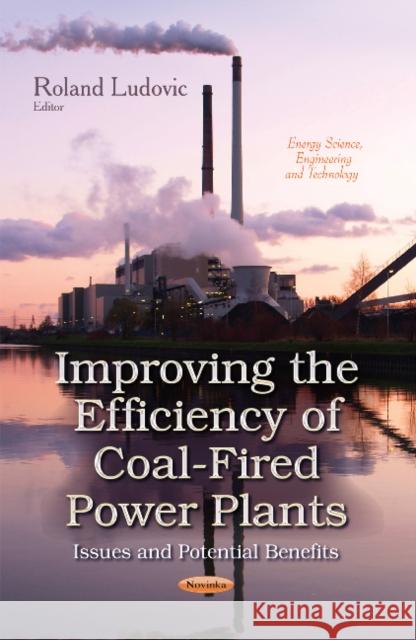 Improving the Efficiency of Coal-Fired Power Plants: Issues & Potential Benefits Roland Ludovic 9781631175909 Nova Science Publishers Inc - książka