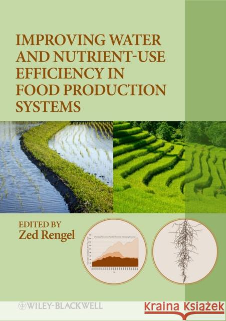 Improving Water and Nutrient-Use Efficiency in Food Production Systems  9780813819891 John Wiley & Sons - książka