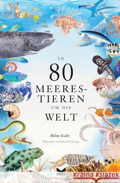 In 80 Meerestieren um die Welt Scales, Helen 9783962442897 Laurence King Verlag GmbH - książka