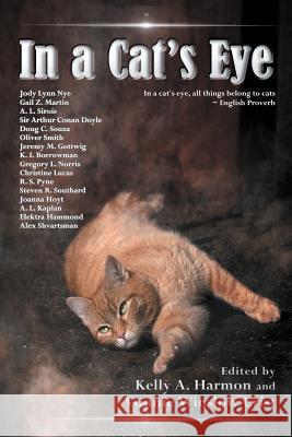 In a Cat's Eye Gail Z. Martin Jody Lynn Nye Alex Shvartsman 9781941559123 Pole to Pole Publishing - książka