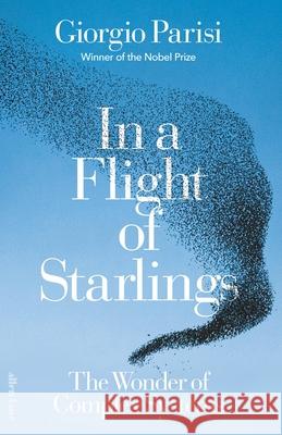 In a Flight of Starlings: The Wonder of Complex Systems Giorgio Parisi 9780241587485 Penguin Books Ltd - książka