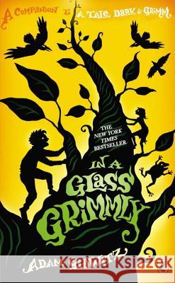 In a Glass Grimmly Adam Gidwitz 9780525425816 Dutton Books - książka