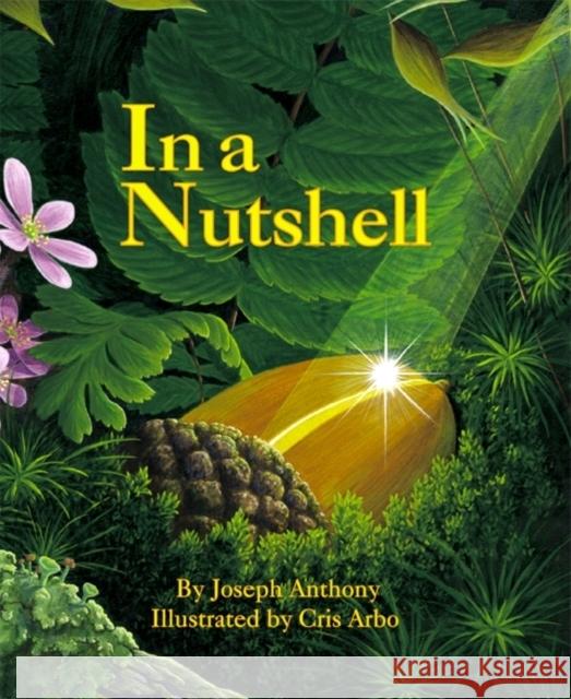 In a Nutshell Joseph Anthony Cris Arbo 9781883220983 Dawn Publications (CA) - książka