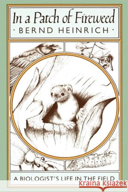 In a Patch of Fireweed: A Biologist's Life in the Field Heinrich, Bernd 9780674445512 Harvard University Press - książka