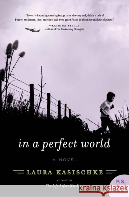 In a Perfect World Laura Kasischke 9780061766114 Harper Perennial - książka