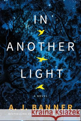 In Another Light: A Novel A. J. Banner 9781542031103 Amazon Publishing - książka