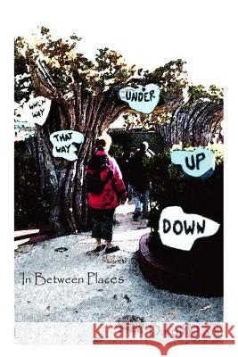 In-Between Places Darryl Davis 9781508703235 Createspace - książka