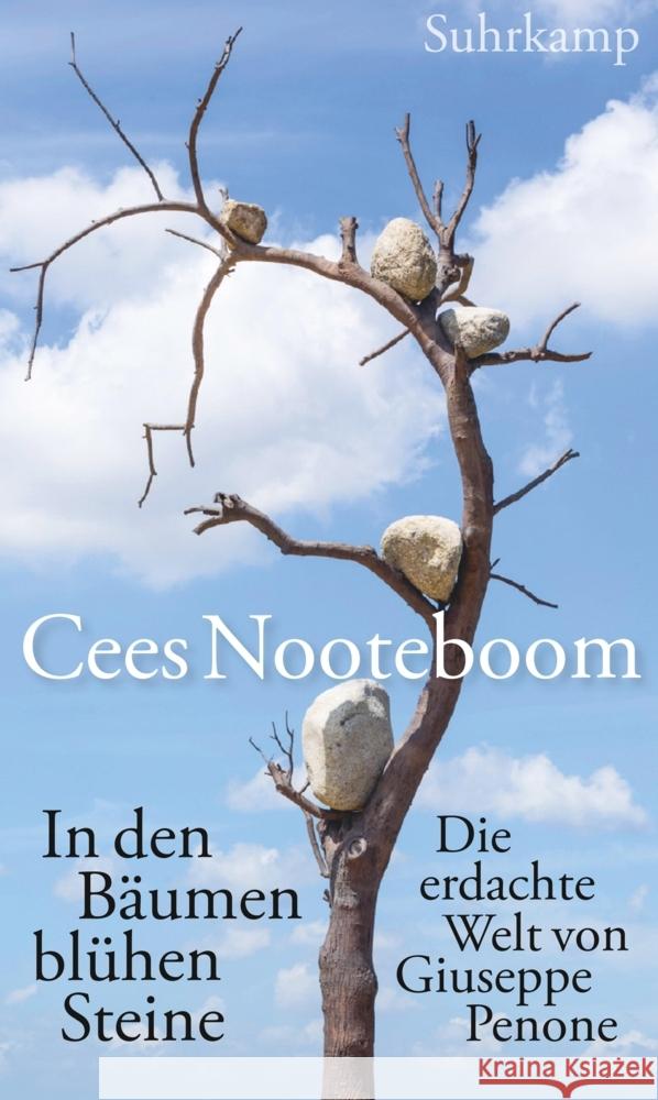 In den Bäumen blühen Steine Nooteboom, Cees 9783518431559 Suhrkamp - książka