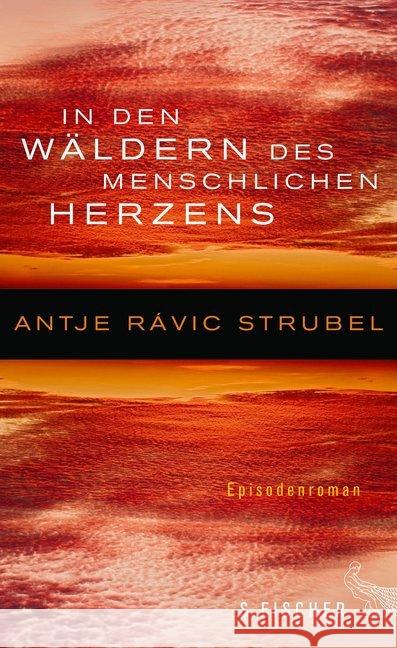 In den Wäldern des menschlichen Herzens : Episodenroman Rávic Strubel, Antje 9783100022813 S. FISCHER - książka