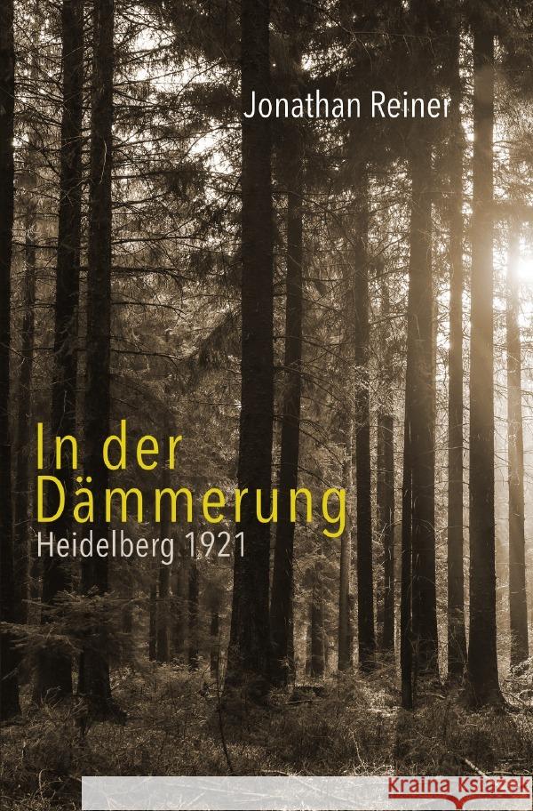 In der Dämmerung Reiner, Jonathan 9783758458675 epubli - książka