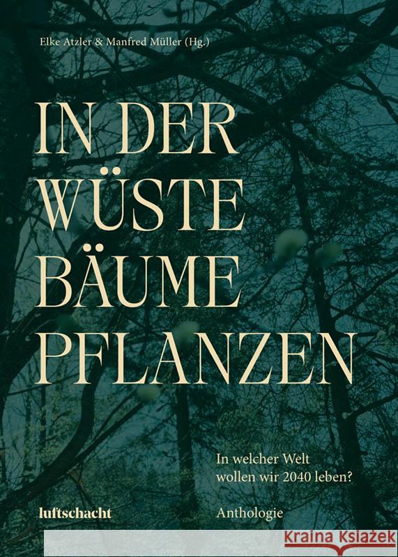 In der Wüste Bäume Pflanzen Lupette, Léonce W., Gösweiner, Friederike, Bouharaoua, Luiz 9783903422469 Luftschacht - książka