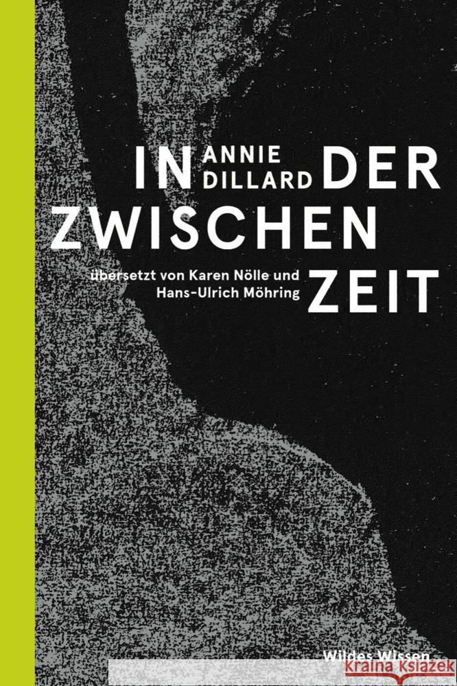 In der Zwischenzeit Dillard, Annie 9783751860000 Matthes & Seitz Berlin - książka