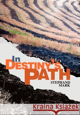In Destiny's Path Stephand Mark 9780595751433 iUniverse - książka