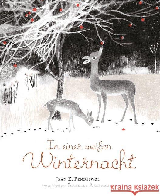 In einer weißen Winternacht : Bilderbuch Pendziwol, Jean E. 9783772526824 Freies Geistesleben - książka