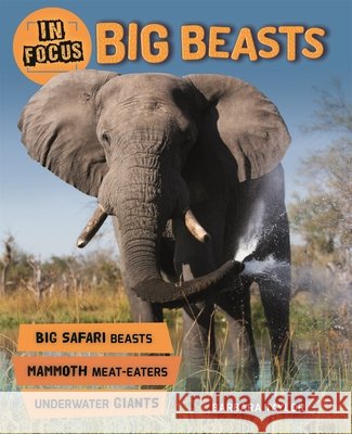 In Focus: Big Beasts  Taylor, Barbara 9780753442555 In Focus - książka