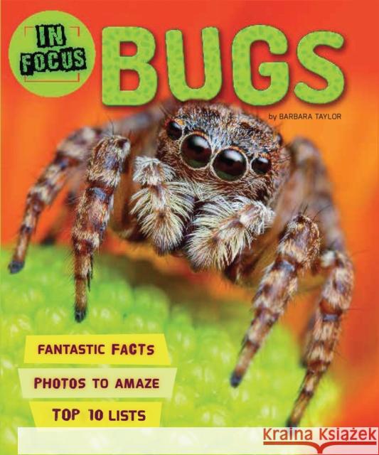In Focus: Bugs Kingfisher 9780753441091 Pan Macmillan - książka