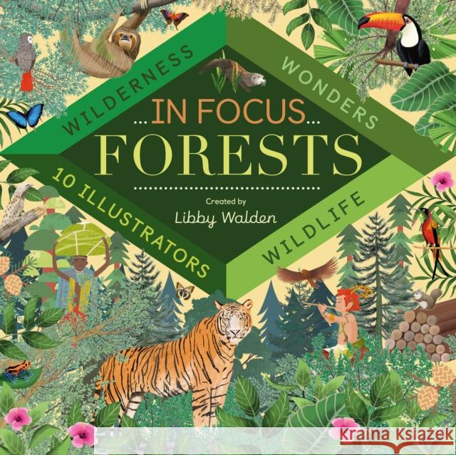 In Focus: Forests Libby Walden   9781848578074 Little Tiger Press Group - książka